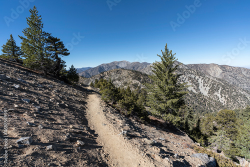 Cucamonga Peak trail in the San Gabriel Mountains with Mt Baldy in background.   photo