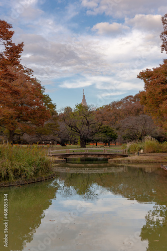東京都渋谷区代々木にある公園の秋の景色