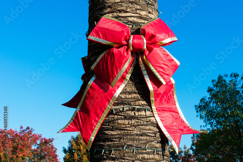 Red christmas holiday bow on palm tree trunk with blurred green scenery nad blue sky in background. Christmas string lights wrap the palm tree trunk.
