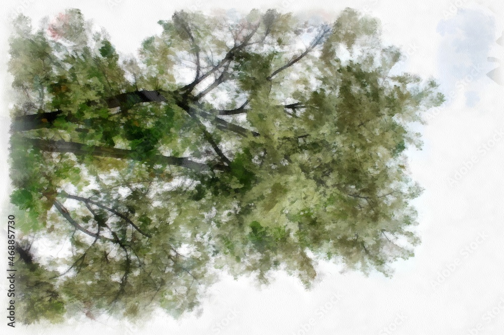 Big tree with white flowers watercolor style illustration impressionist painting. Big tree with white flowers watercolor style illustration impressionist painting.