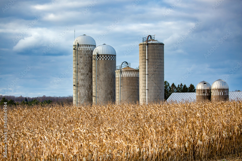 Wisconsin cornfield and silos with clouds in late October Wisconsin cornfield and silos with clouds in late October