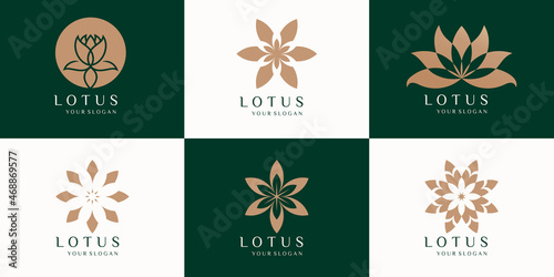 set of beauty Lotus flowers Logo vector design
