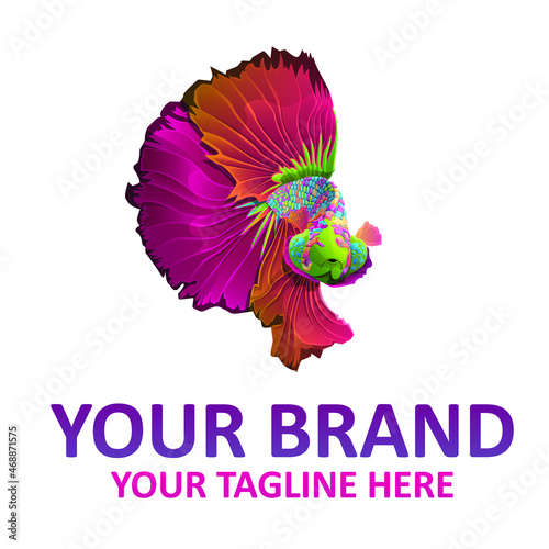 colorful beta fish logo photo