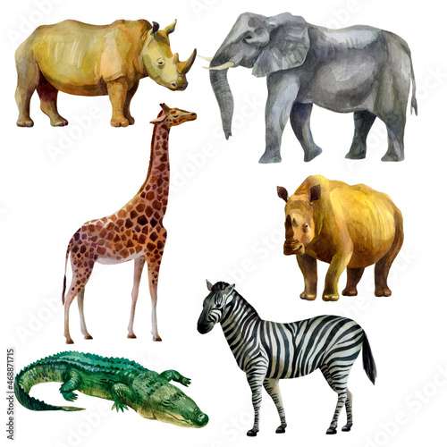 Watercolor illustration, set. African tropical animals hand-drawn in watercolor. Elephant, giraffe, rhino, zebra, crocodile. © Margosoleil