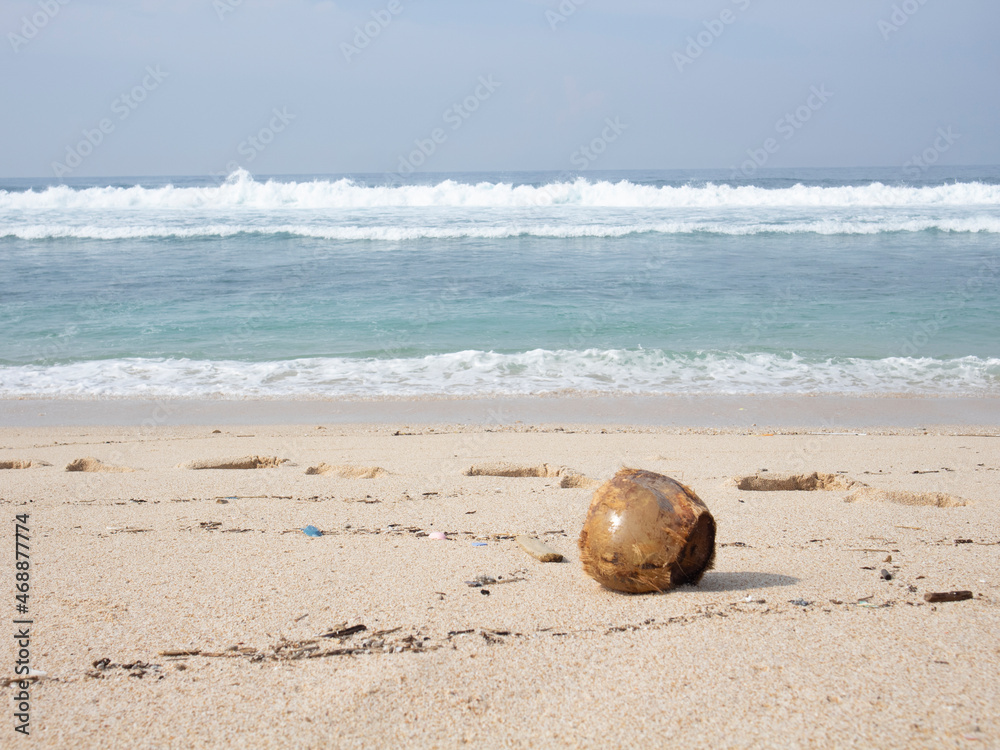 Brown coconut in the beach with blue ocean as the background Brown coconut in the beach with blue ocean as the background