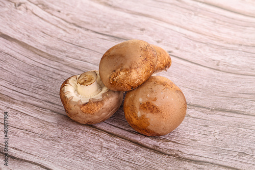 Raw brown champignons mushroom heap