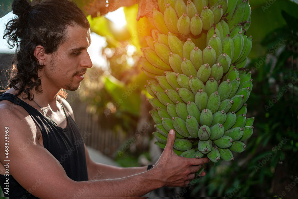 Obraz premium A young hipster farmer looks admiringly and holding bananas at an organic farm with a smile and happiness cause ready for harvest. Labor, hard work, hope, and a sustainable living of concept ideas