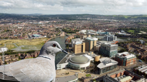 Doves eye view of Waterfront Hall and Hilton Hotel Belfast Northern Ireland