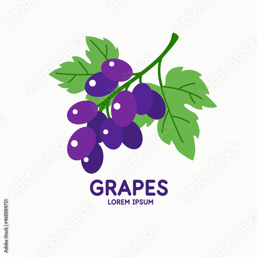 Illustration of a grapes in a modern style. Isolated image on a light background. Vector icon.