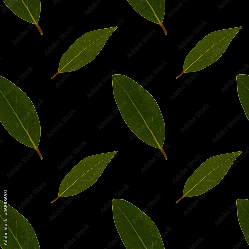 Seamless pattern of laurel leaves on a black background