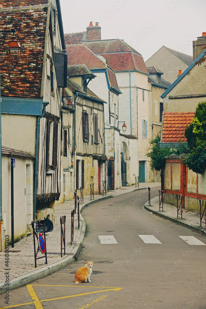 Quiet streets of Auxerre, in Burgundy region of France, with a lonely cat in the empty neighborhood