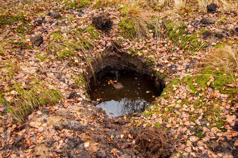 old non-deep pit from explosion of bombs or min, filled with water and leaves in autumn forest, on old abandoned polygon.