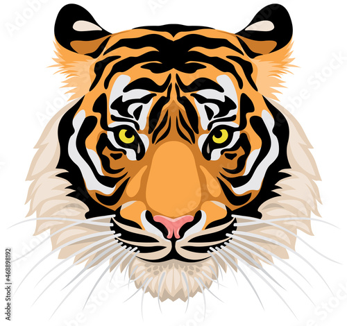 Tiger head realistic vector cartoon style illustration, eps8 CMYK isolated on transparent or white background, no gradient, no transparency
