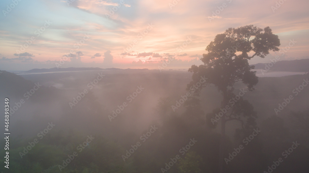 aerial view scenery sunrise mist above the mountain in tropical rainforest..slow floating fog blowing cover on the top of mountain look like as a sea of mist. .beautiful sunrise in the mist 