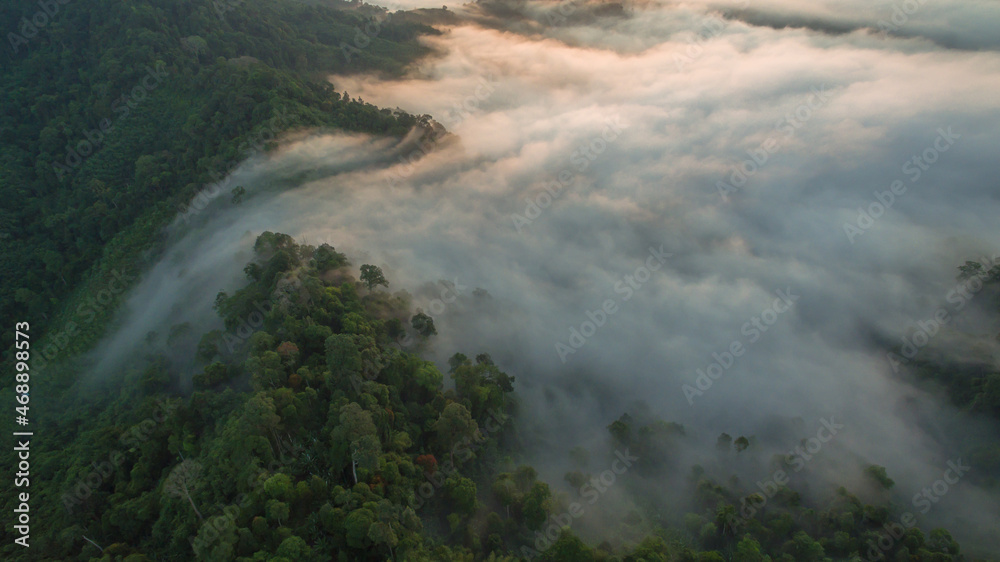 aerial view mist above the mountain in tropical rainforest and .beautiful sunrise scenery view in Phang Nga valley.