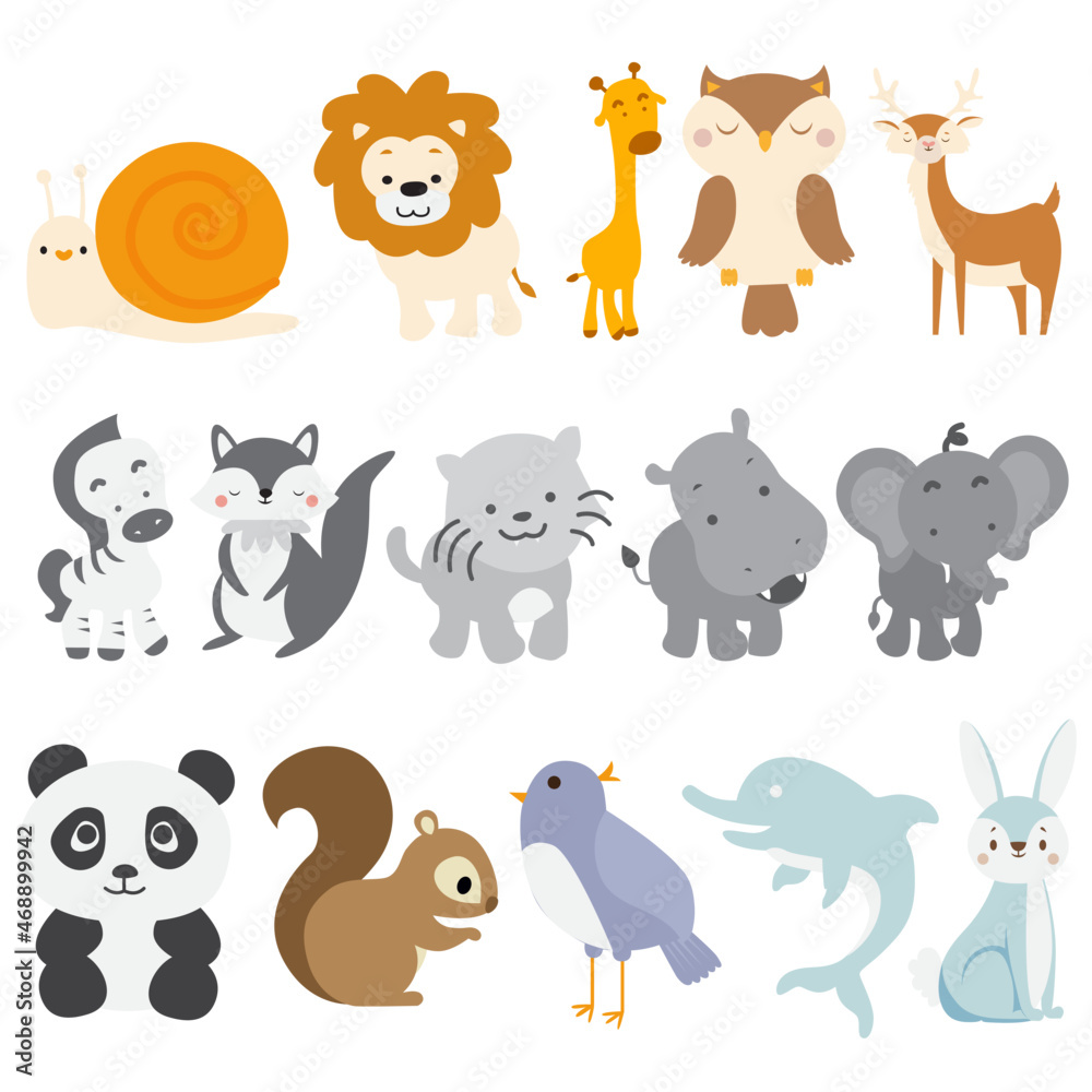 animal illustrator 