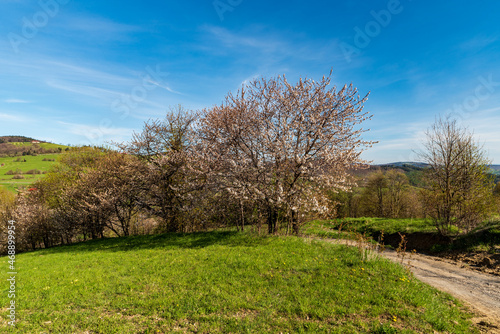 Beautiful springtime Bile Karpaty mountains in Czech republic with meadows, blossoming trees and blue sky