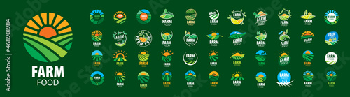A set of vector Farm Food logos on a green background © butenkow