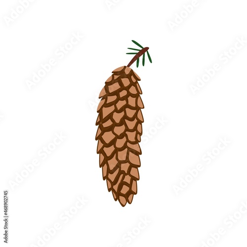 Pine cones vector. hand drawn sketch . Botanical drawing. Winter holidays, Christmas symbols. Isolated on white background. photo