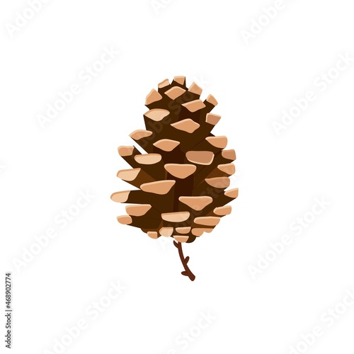 Pine cones vector. hand drawn sketch . Botanical drawing. Winter holidays, Christmas symbols. Isolated on white background.