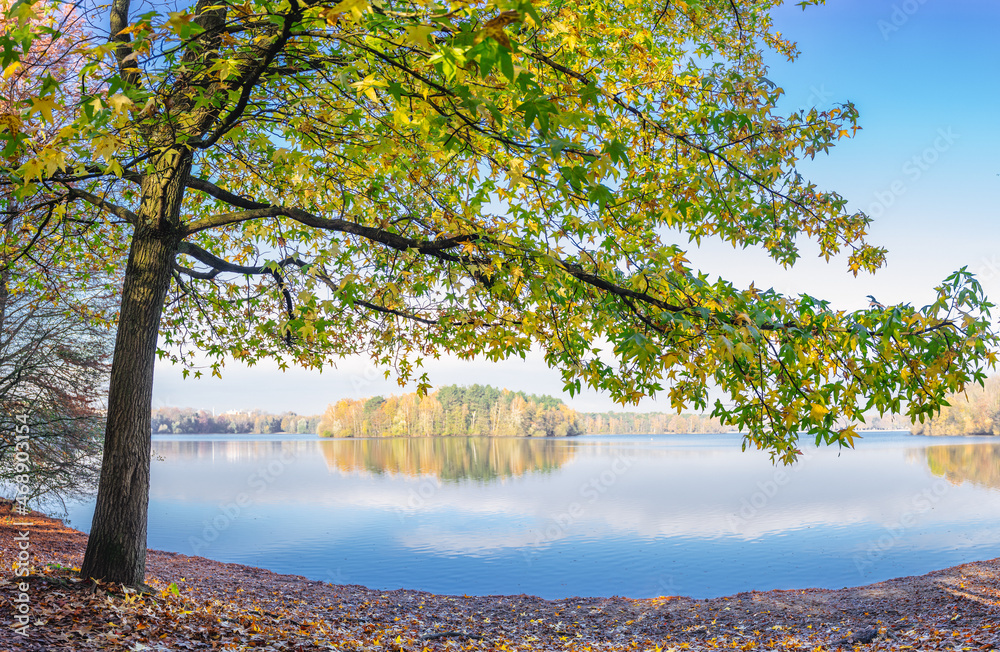 An autumn walk in the local recreation area Sechs Seenplatte Duisburg, North Rhine-Westphalia An autumn walk in the local recreation area Sechs Seenplatte Duisburg, North Rhine-Westphalia