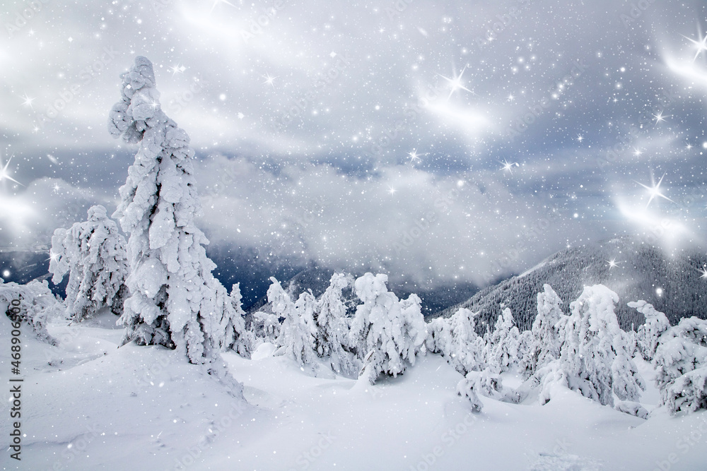 magic winter landscape with snowy fir trees