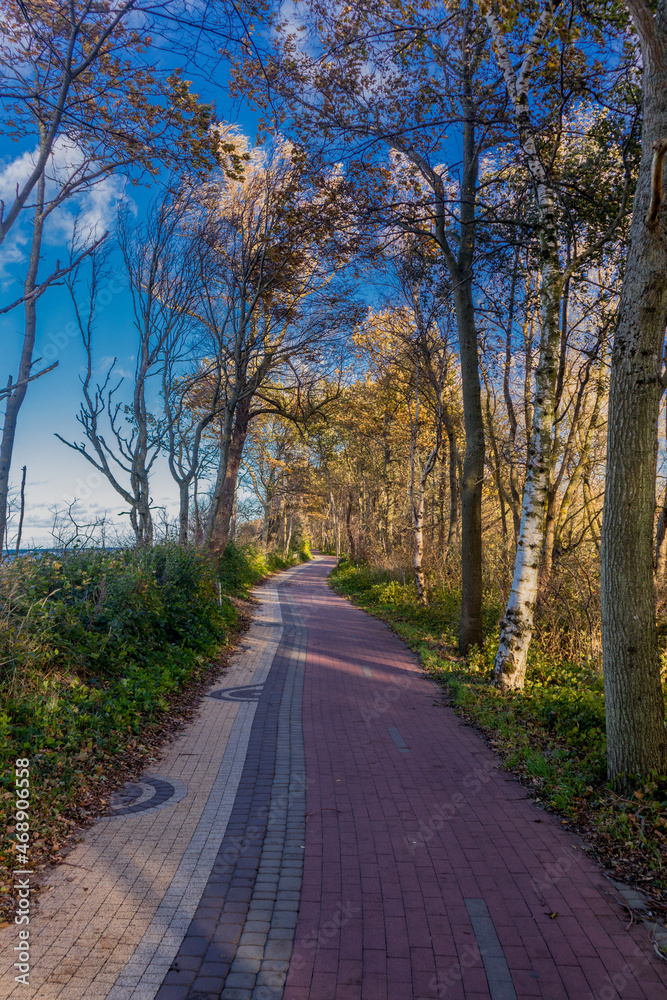 Fototapeta premium Schöner Herbstspaziergang an der polnischen Ostsee vor den Toren Kolbergs - Polen