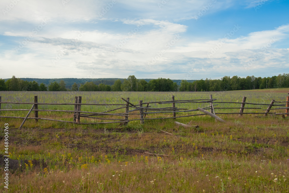 Summer landscape with old fence