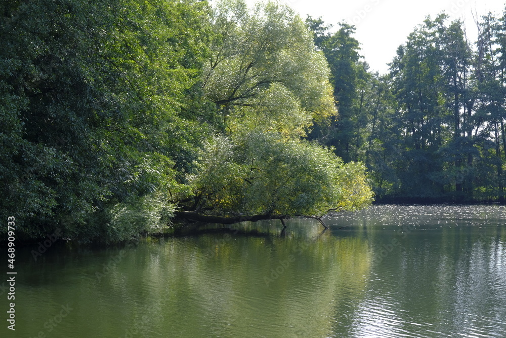 Baggerseen bei Dörfleins, Teil des LIFE-Naturprojekt Oberes Maintal, Stadt Hallstadt, Landkreis Bamberg, Oberfranken, Franken, Bayern, Deutschland Baggerseen bei Dörfleins, Teil des LIFE-Naturprojekt Oberes Maintal, Stadt Hallstadt, Landkreis Bamberg, Oberfranken, Franken, Bayern, Deutschland