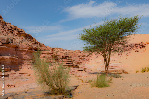 Red Canyon in the Senai Peninsula Desert