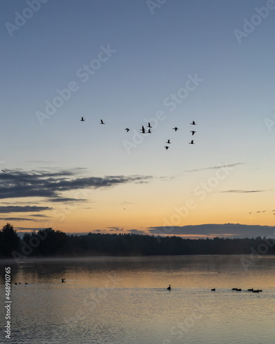 birds on the lake © Jan Kopřiva