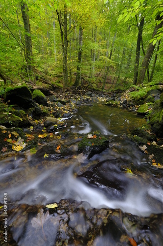 Der Eisgraben im Naturwaldreservat Eisgraben bei Hausen in der Rh  n  Biosph  renreservat Rh  n  Unterfranken  Franken  Bayern  Deutschland.