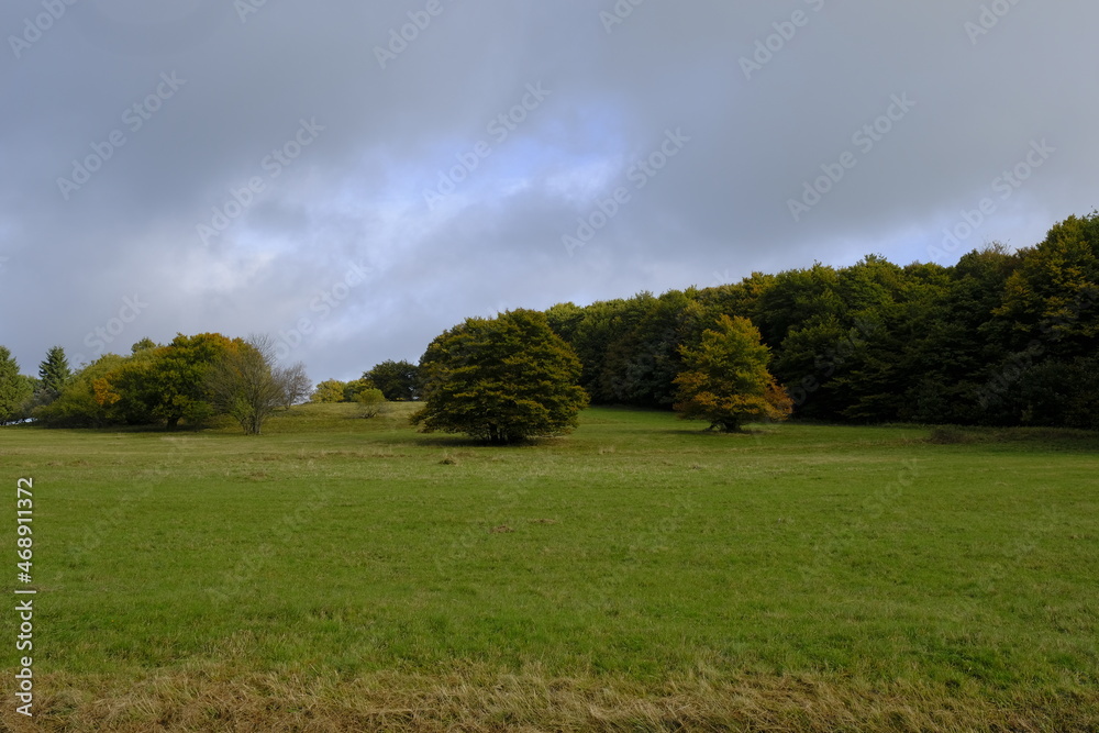 Das Naturschutzgebiet Lange Rhön in der Kernzone des Biosphärenreservat