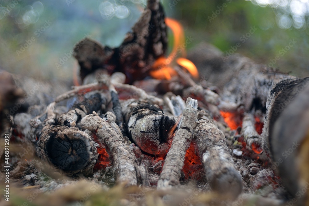 bonfire wood fire flame sparks bonfire wood fire flame sparks