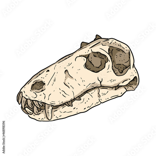 Carnivorous Dinocephalia fossilized skull hand drawn image. Carnivore reptile dinosaur fossil illustration drawing. Vector stock outline silhouette