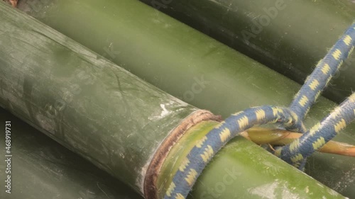 Wallpaper Mural Close-up of cut bamboo poles ready to be processed into an environmentally friendly product. Bamboo forest in the background. Flame.
love the world love nature Torontodigital.ca