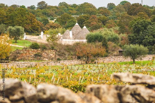 Foto Beautiful Puglia landscape with traditional old Trullo or Trulli houses in autum