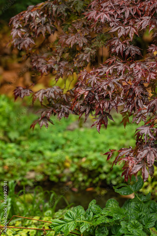 Glenvea National Park. With charming courtyards, a rock garden, an amusement park and forest gardens Glenvea National Park. With charming courtyards, a rock garden, an amusement park and forest gardens