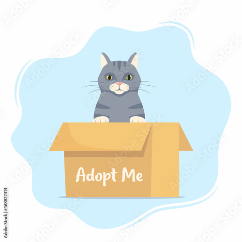 Cute little cat in a cardboard box with the inscription Adopt me. Adopt a pet. Cute homeless kitty waiting for the adoption. Vector illustration for animal shelter poster.