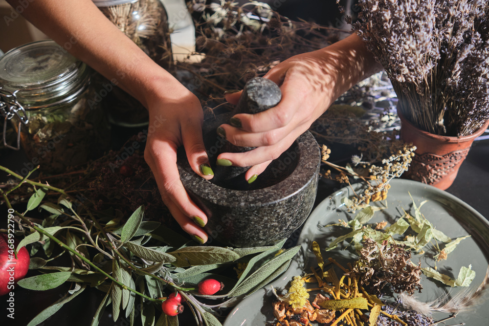 The girl grinds dry herbs in a mortar. Preparation of a mixture of dried herbs for making tea, medicines, tinctures. Phytotherapy, alternative medicine. - obrazy, fototapety, plakaty 