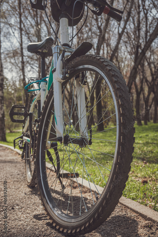 bicycle in the woods bicycle in the woods