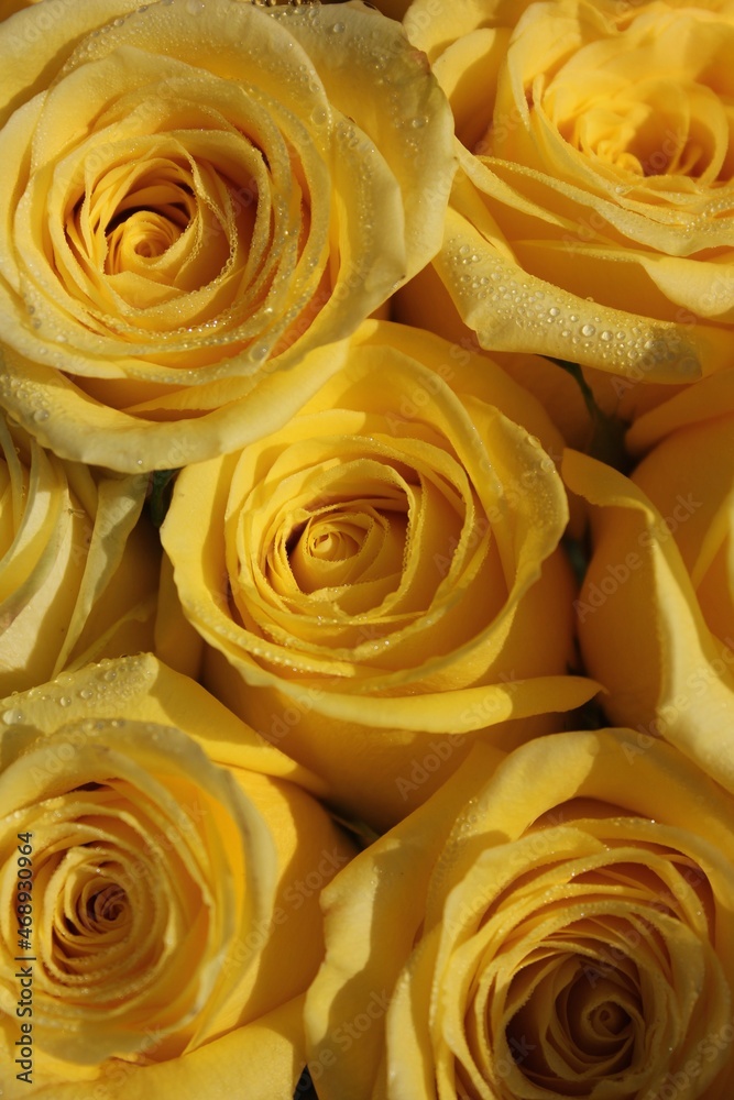 yellow roses bouquet
