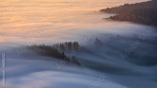 Fog streams down through trees into a valley in the Black Forest