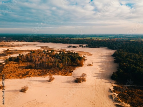 Aerial drone view of the Loonse en Drunense dune national park in the Netherlands  Europe. 