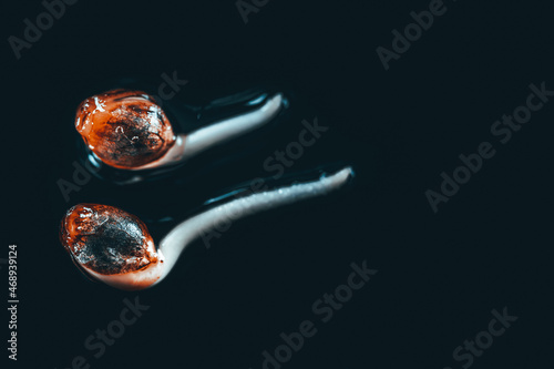 Bild auf Leinwand Macro Cannabis seeds on the black background in drop of water - THC CBD, germination of cannabis seeds, sprouting