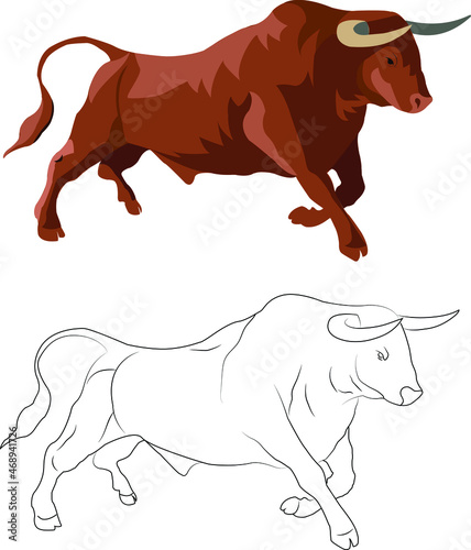 illustration of a bull for stock market