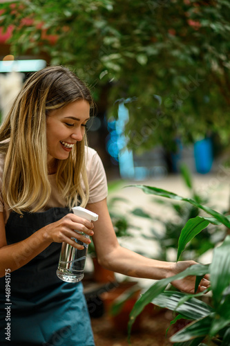 Florist taking care of a plant while spraying it with water