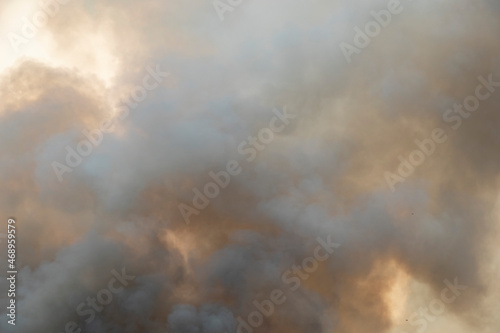 smoke pattern background of fire burn in grass fields © Kullaya