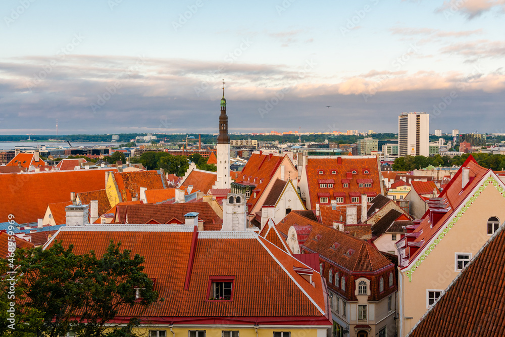 Obraz premium ein Sommerabend in der baltischen Hauptstadt Tallinn