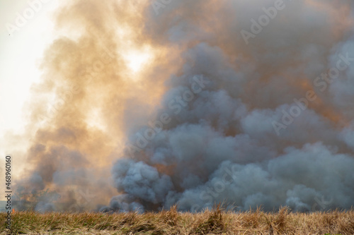 smoke pattern background of fire burn in grass fields © Kullaya